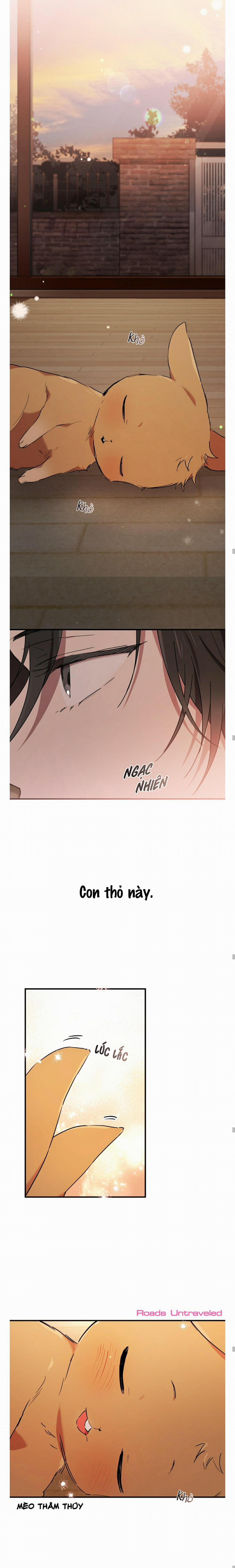 Những Chú Thỏ Của Habibi 13 trang 19