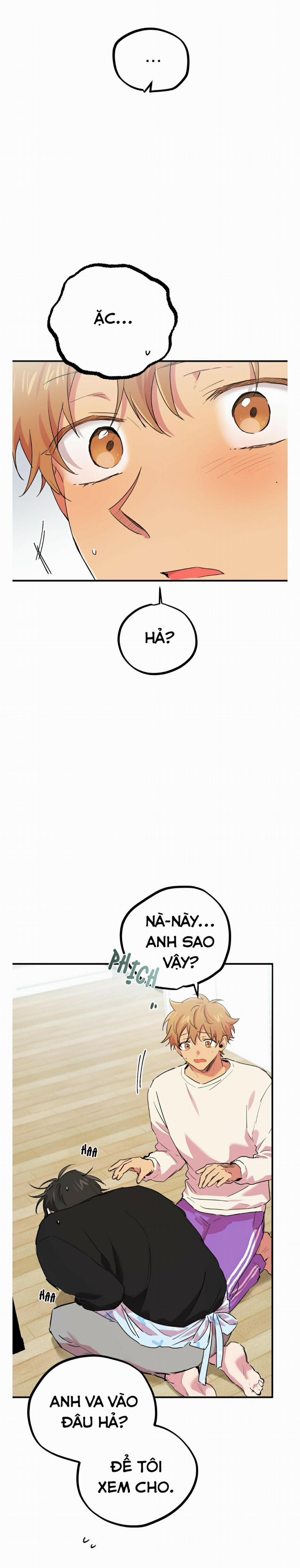 Những Chú Thỏ Của Habibi 13 trang 2