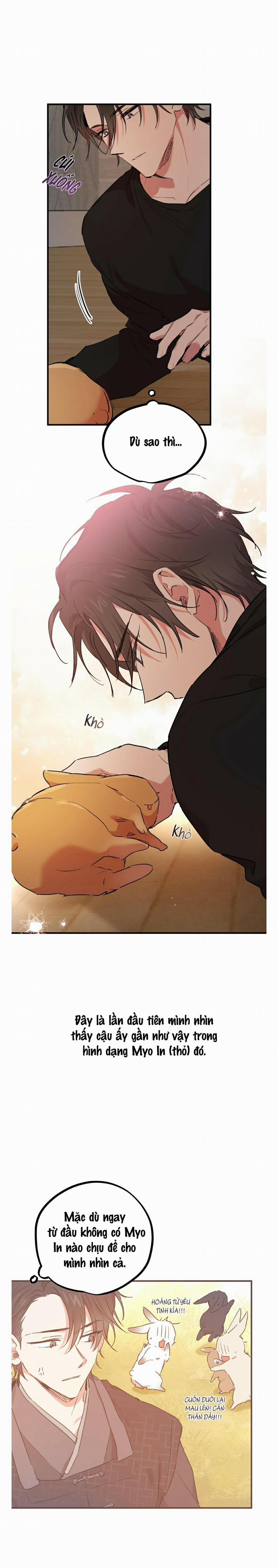 Những Chú Thỏ Của Habibi 13 trang 21