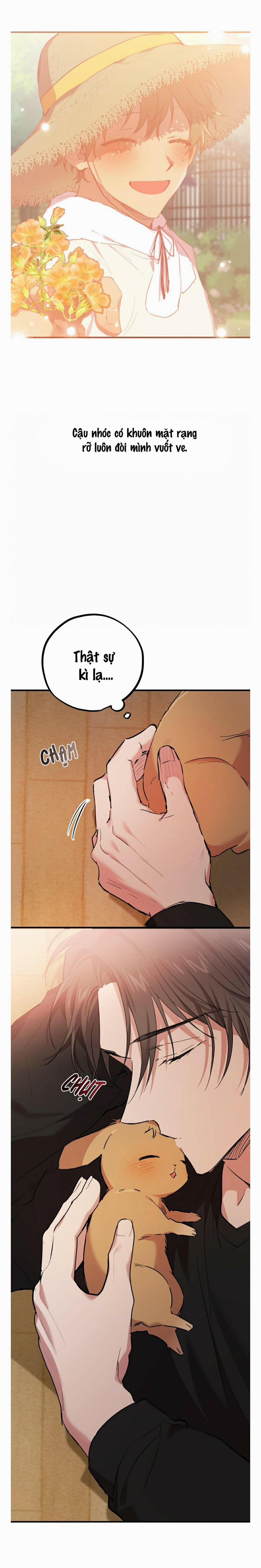 Những Chú Thỏ Của Habibi 13 trang 23