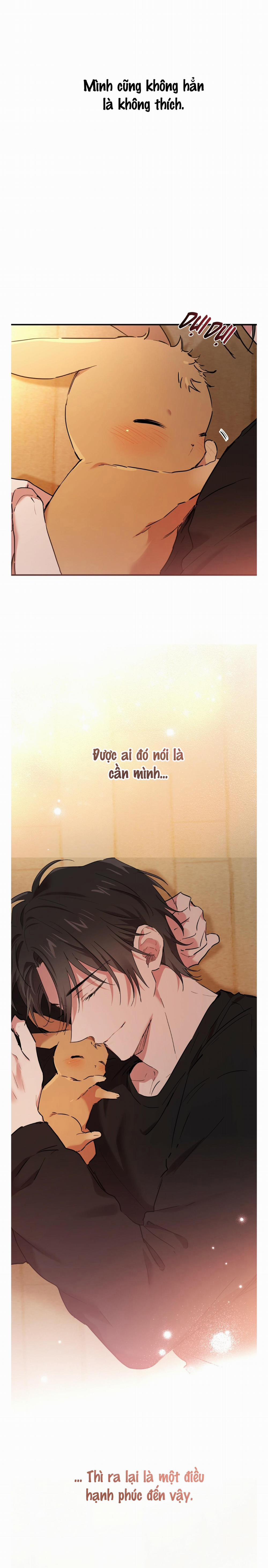 Những Chú Thỏ Của Habibi 13 trang 24