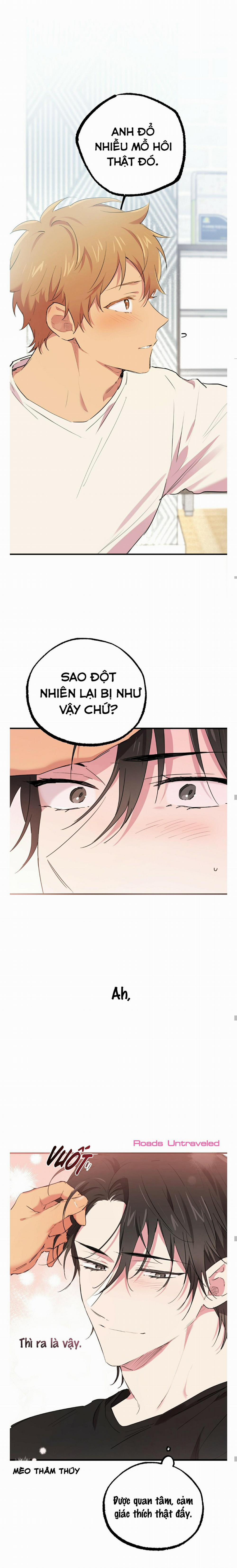 Những Chú Thỏ Của Habibi 13 trang 8