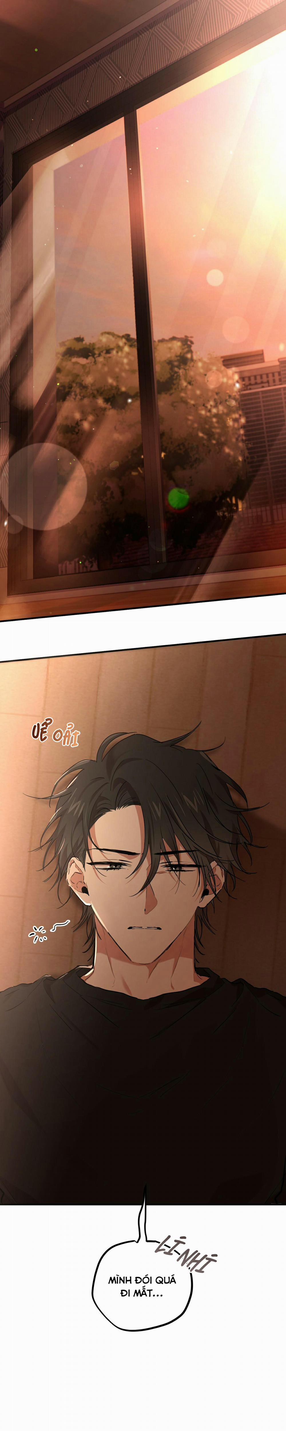 Những Chú Thỏ Của Habibi 14 trang 0