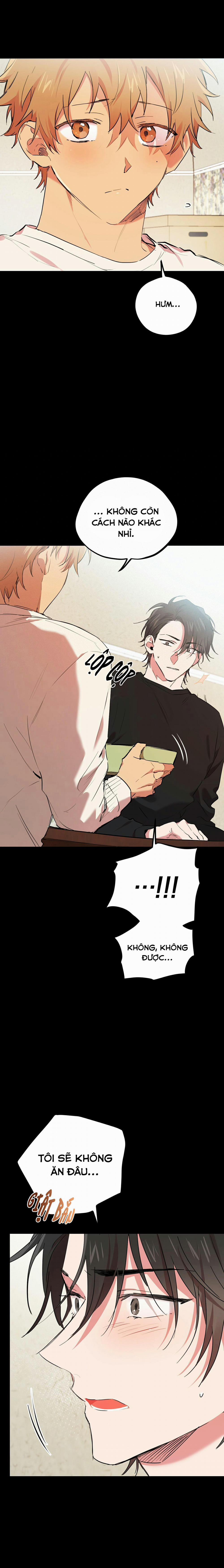 Những Chú Thỏ Của Habibi 14 trang 13