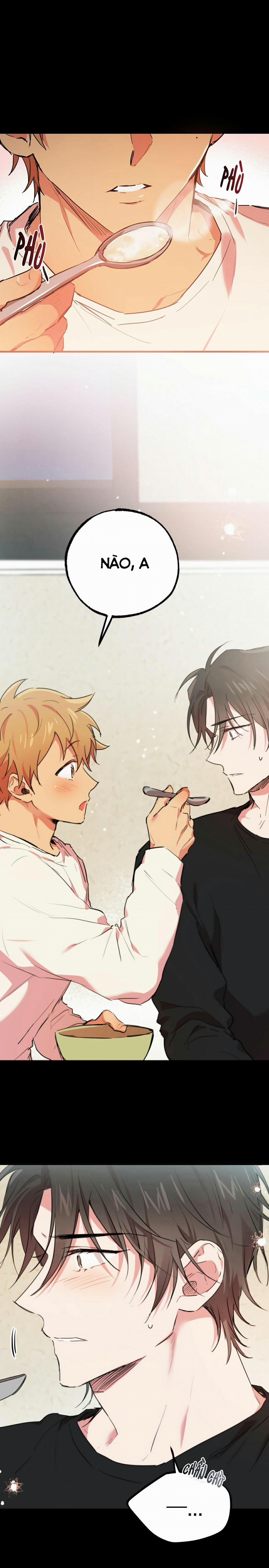 Những Chú Thỏ Của Habibi 14 trang 14