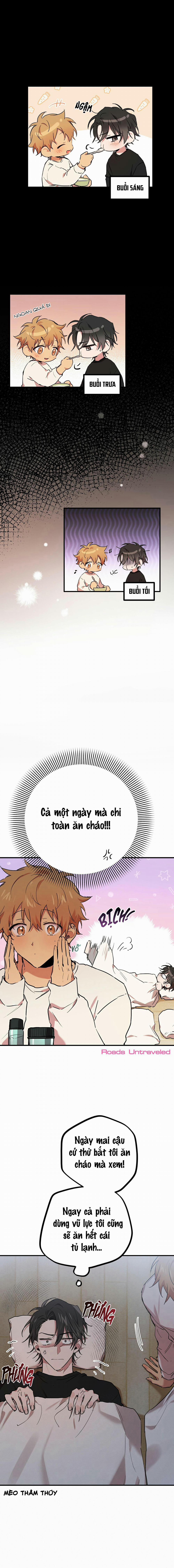 Những Chú Thỏ Của Habibi 14 trang 15