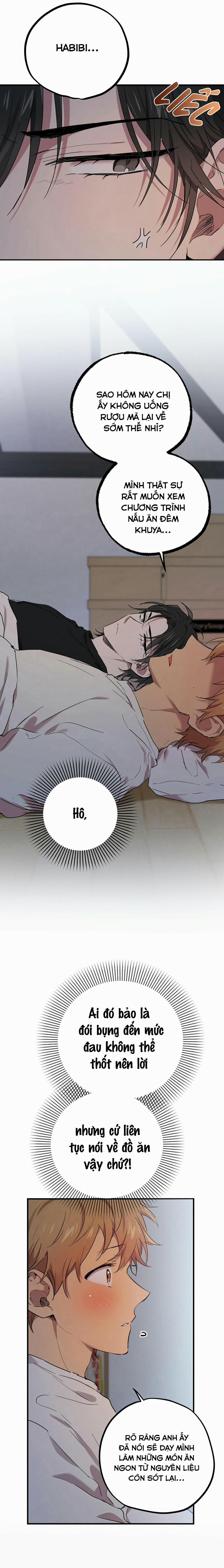 Những Chú Thỏ Của Habibi 14 trang 16