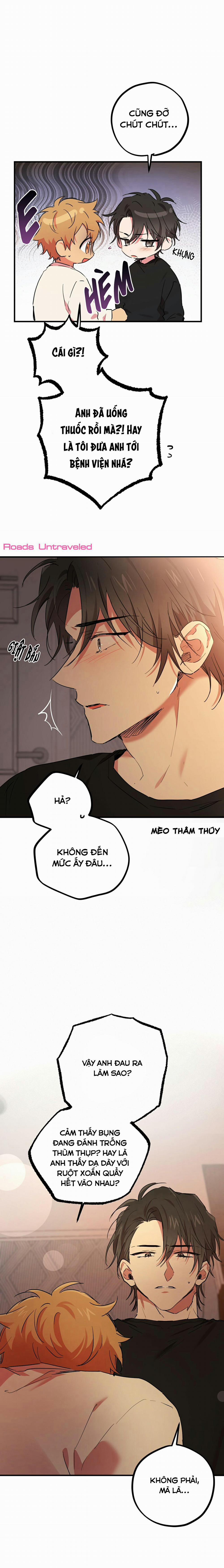 Những Chú Thỏ Của Habibi 14 trang 5