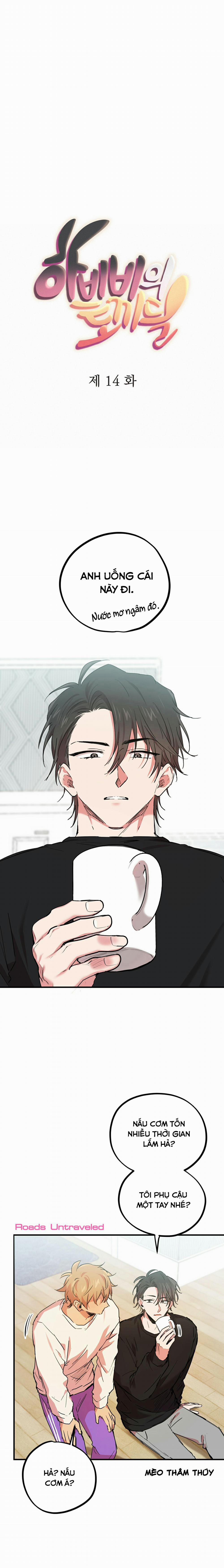 Những Chú Thỏ Của Habibi 14 trang 8