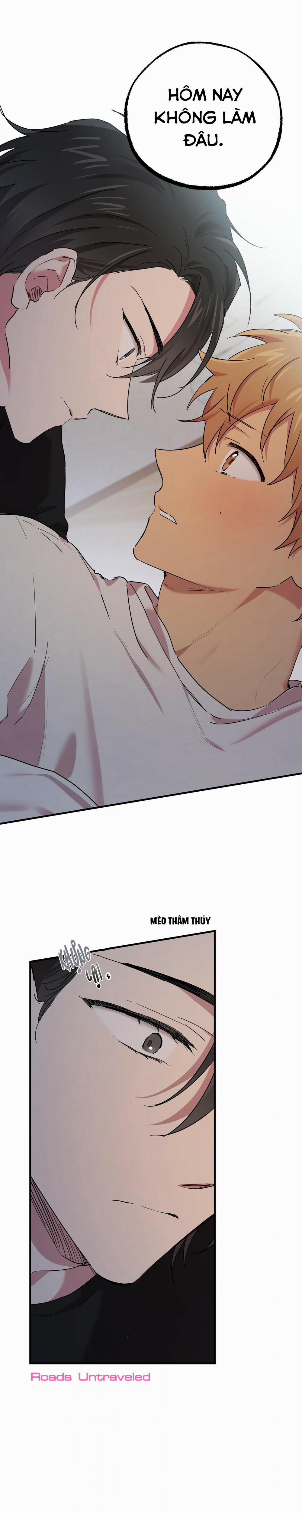 Những Chú Thỏ Của Habibi 15 trang 0