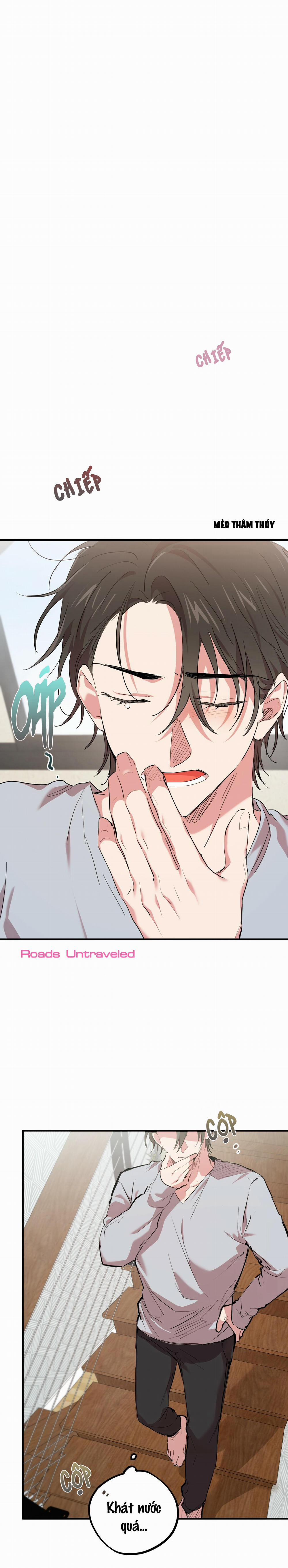 Những Chú Thỏ Của Habibi 15 trang 10