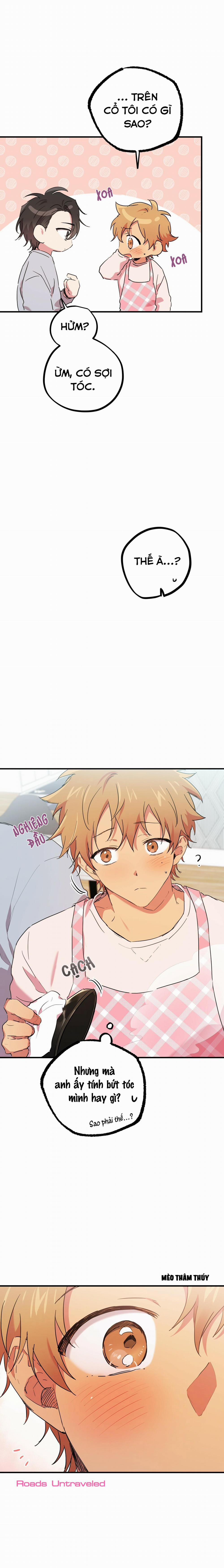 Những Chú Thỏ Của Habibi 15 trang 16