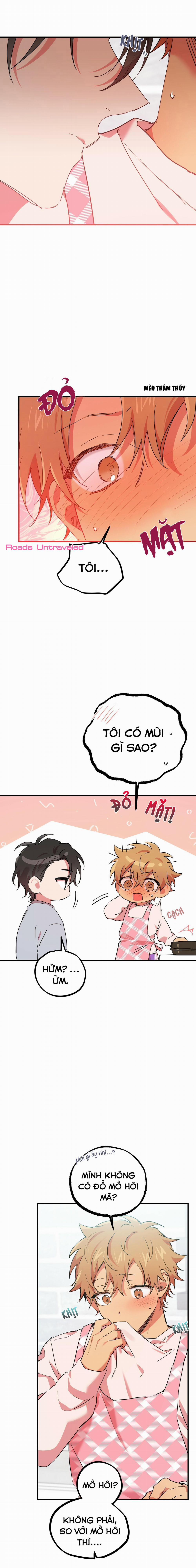 Những Chú Thỏ Của Habibi 15 trang 17