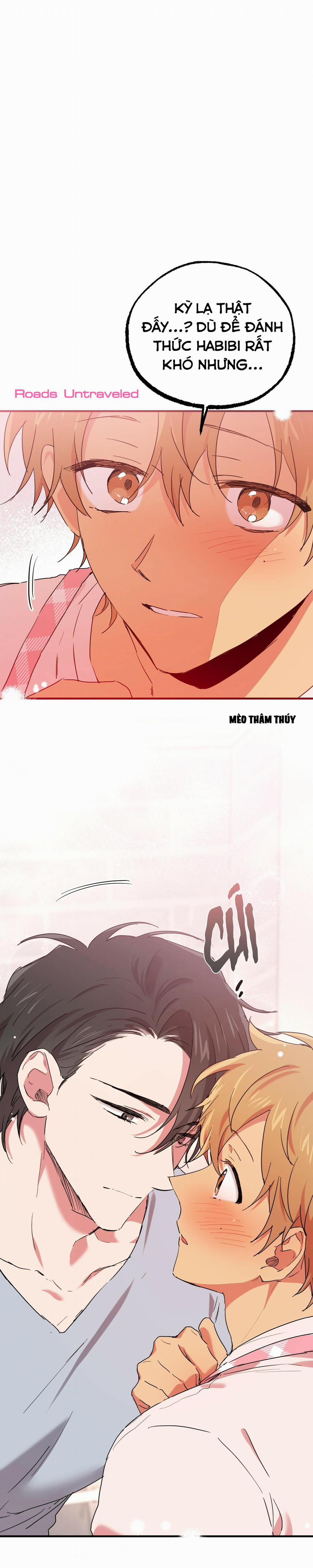 Những Chú Thỏ Của Habibi 15 trang 19