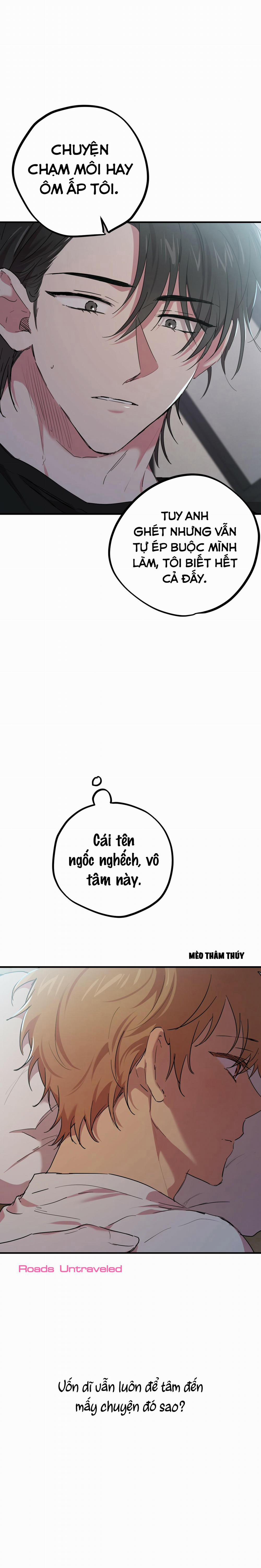 Những Chú Thỏ Của Habibi 15 trang 2