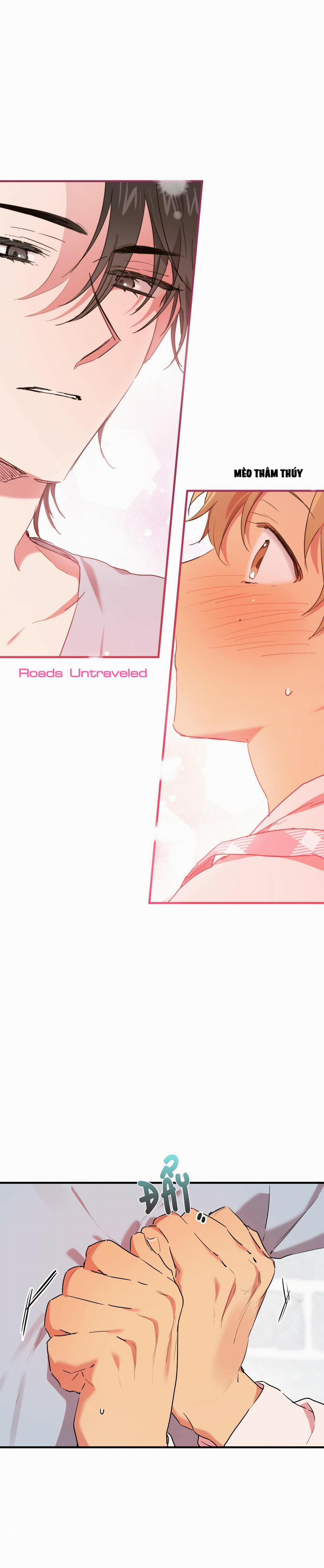 Những Chú Thỏ Của Habibi 15 trang 20