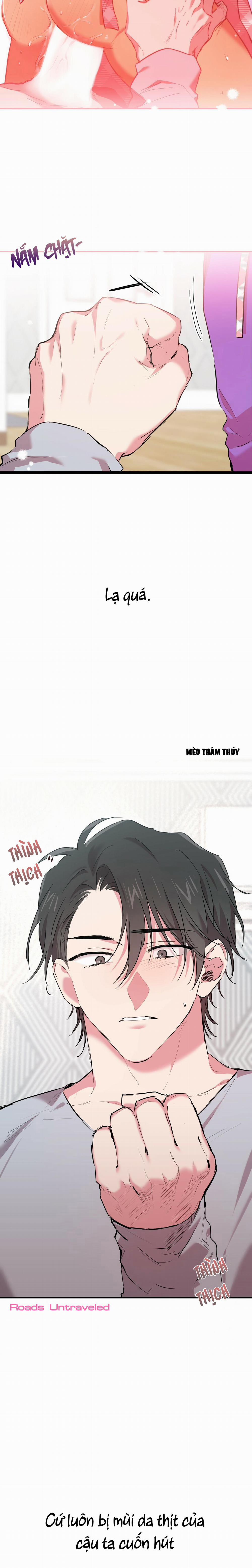 Những Chú Thỏ Của Habibi 15 trang 27