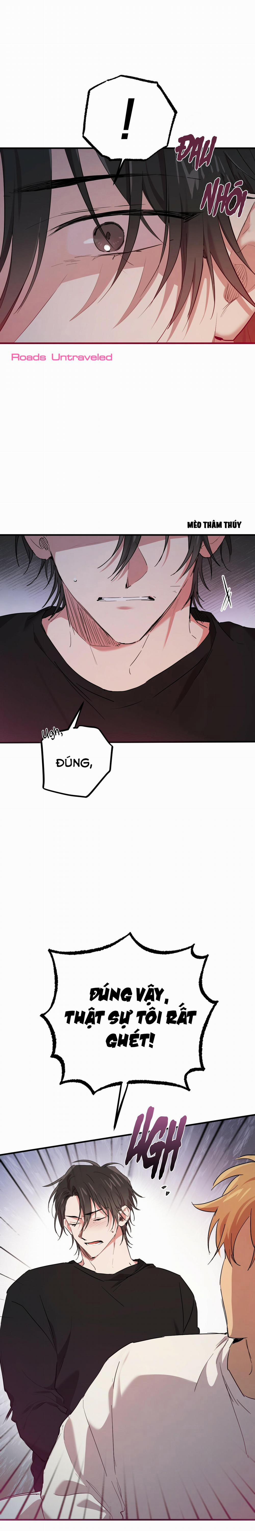 Những Chú Thỏ Của Habibi 15 trang 4