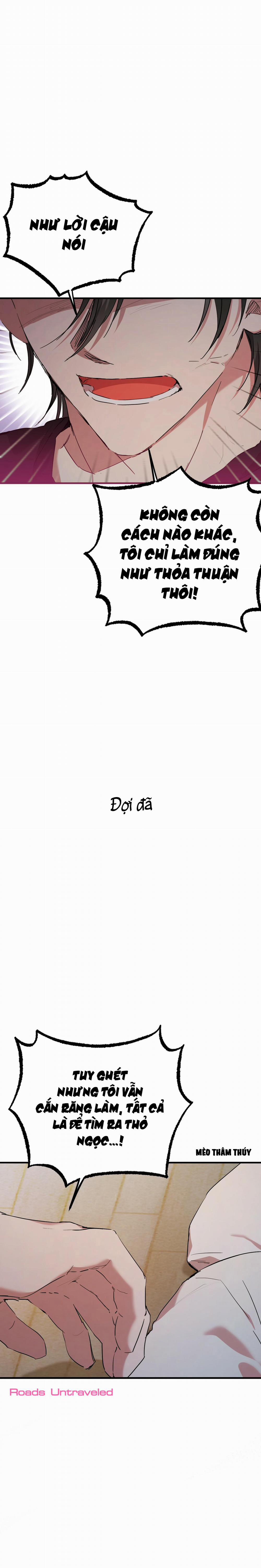 Những Chú Thỏ Của Habibi 15 trang 5