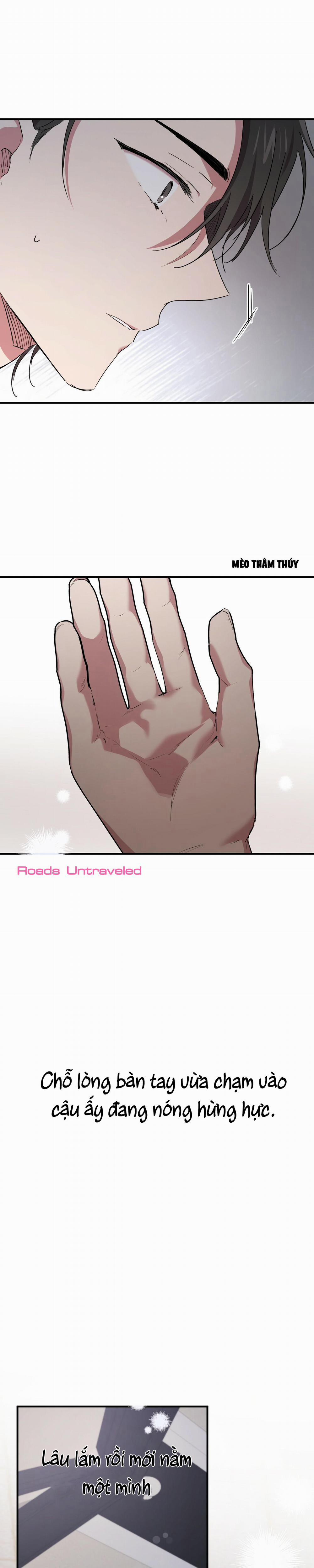 Những Chú Thỏ Của Habibi 15 trang 8