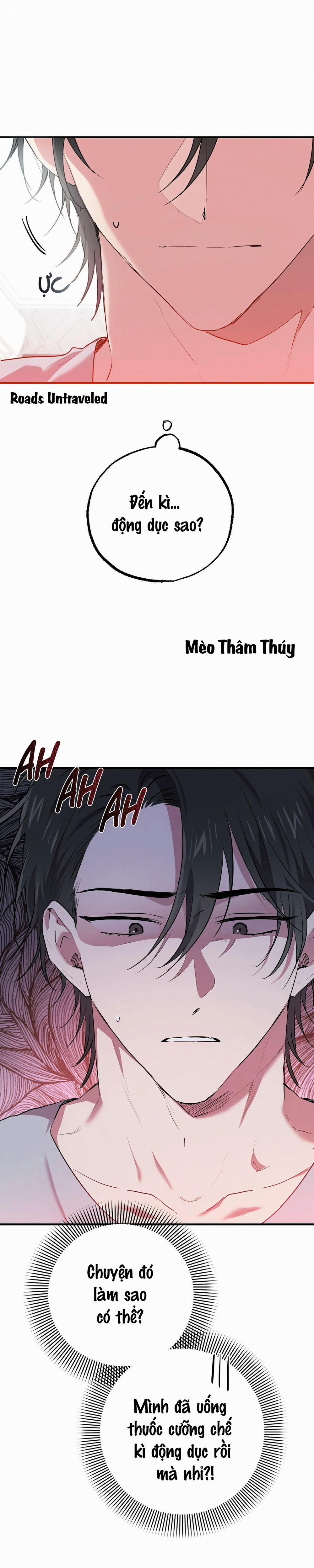 Những Chú Thỏ Của Habibi 16 trang 1