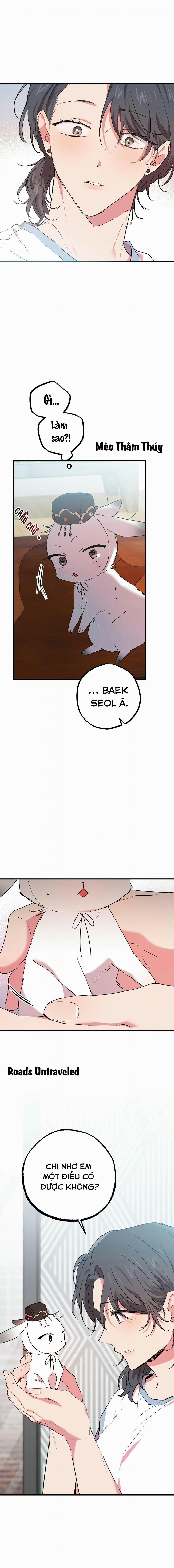 Những Chú Thỏ Của Habibi 16 trang 10