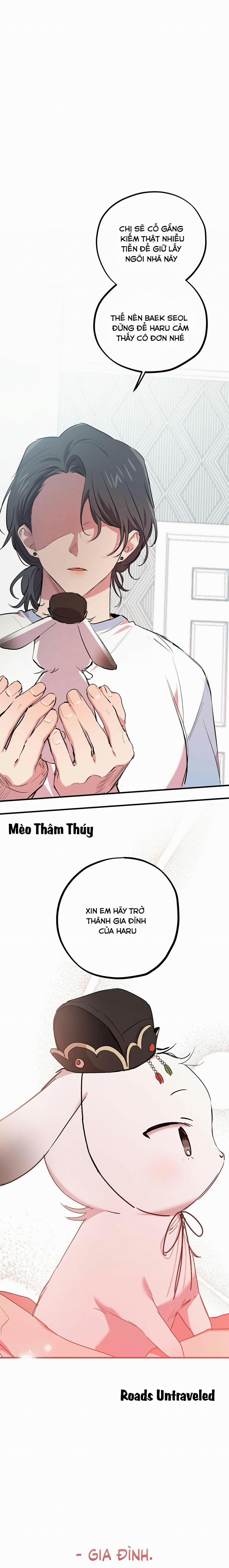 Những Chú Thỏ Của Habibi 16 trang 12