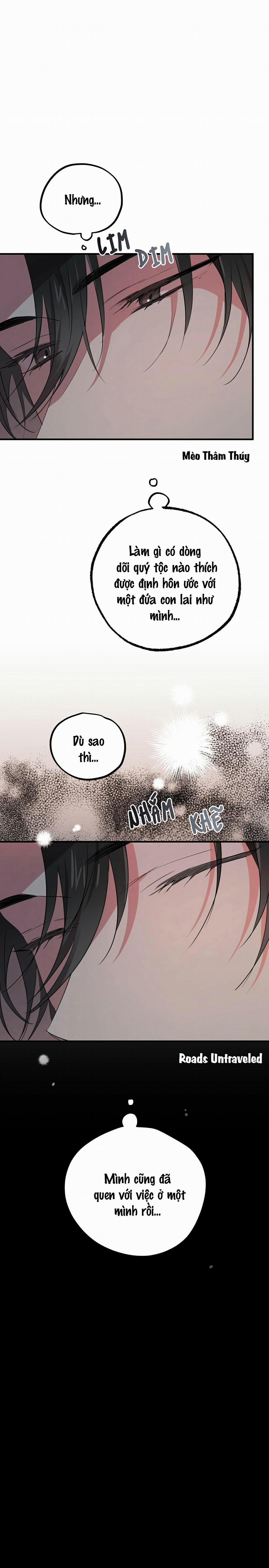 Những Chú Thỏ Của Habibi 16 trang 16