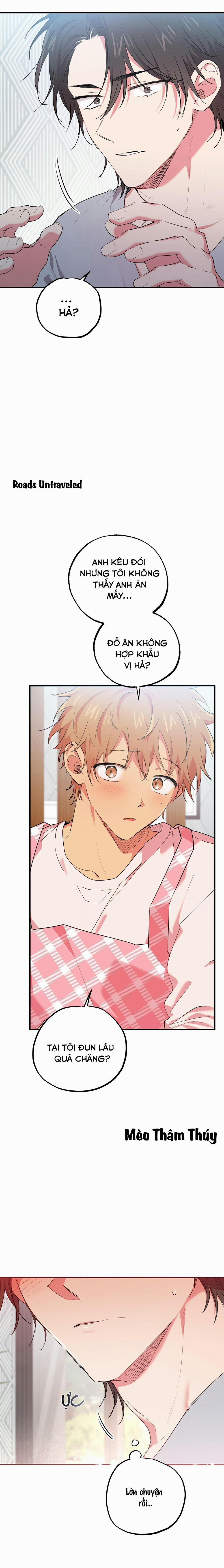 Những Chú Thỏ Của Habibi 16 trang 2