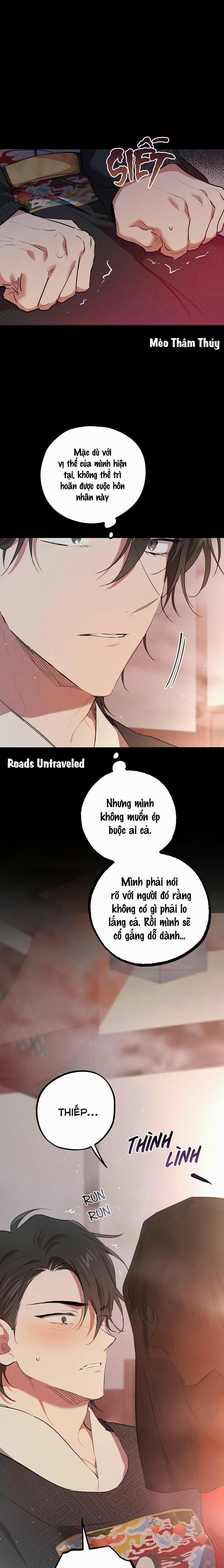 Những Chú Thỏ Của Habibi 16 trang 21