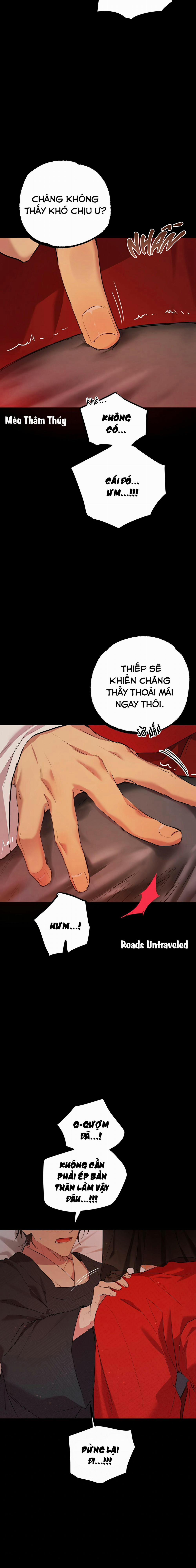 Những Chú Thỏ Của Habibi 16 trang 24