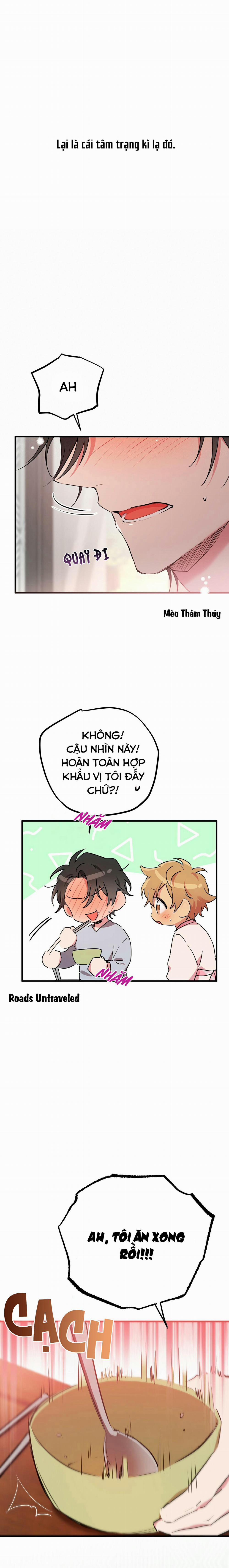 Những Chú Thỏ Của Habibi 16 trang 3