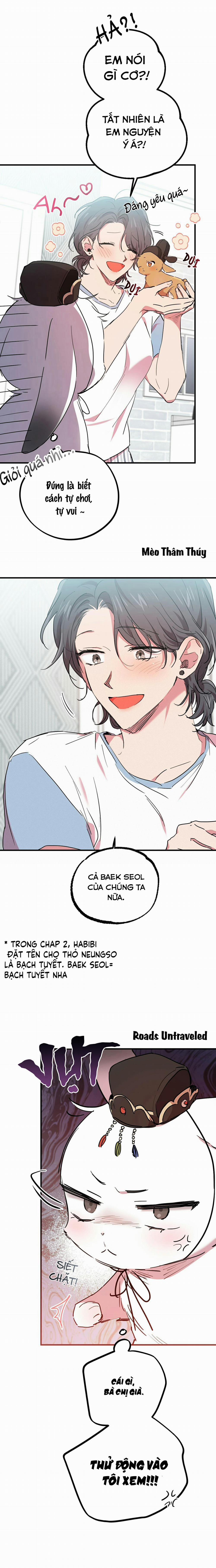 Những Chú Thỏ Của Habibi 16 trang 9