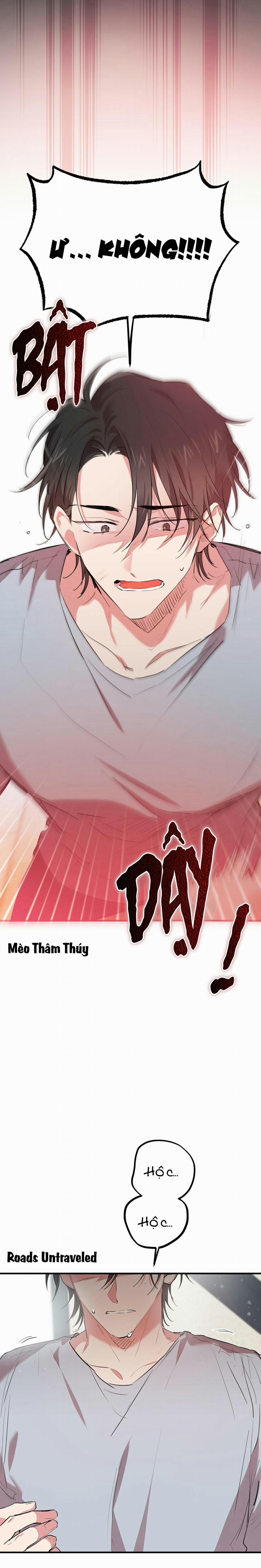 Những Chú Thỏ Của Habibi 17 trang 0