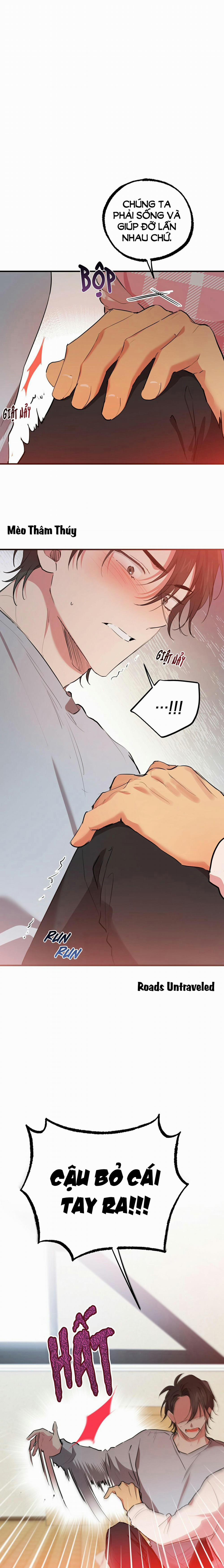 Những Chú Thỏ Của Habibi 17 trang 11