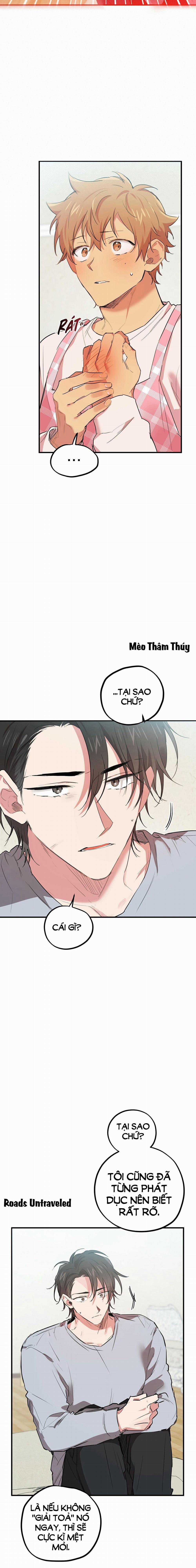 Những Chú Thỏ Của Habibi 17 trang 12