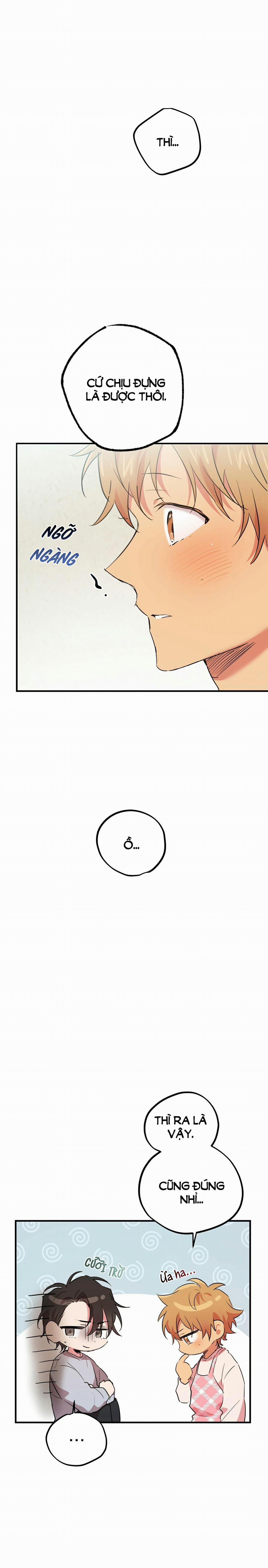 Những Chú Thỏ Của Habibi 17 trang 13