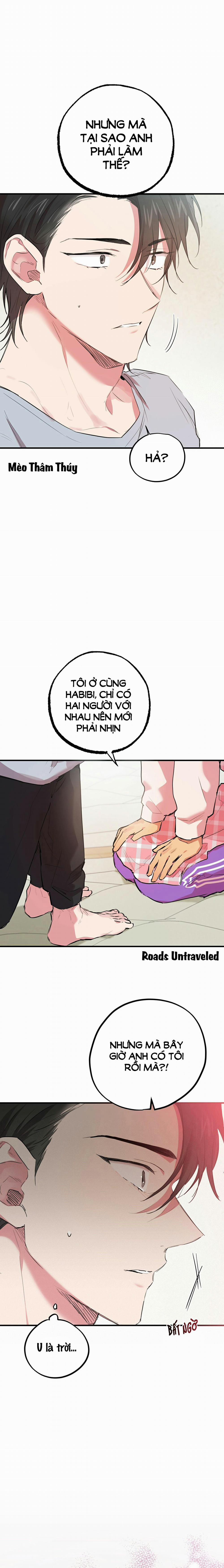 Những Chú Thỏ Của Habibi 17 trang 14