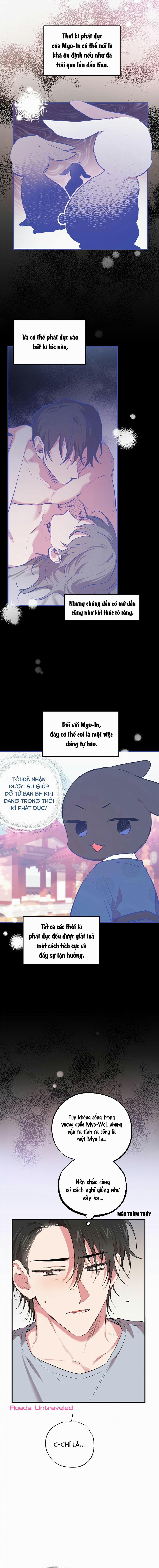 Những Chú Thỏ Của Habibi 17 trang 15