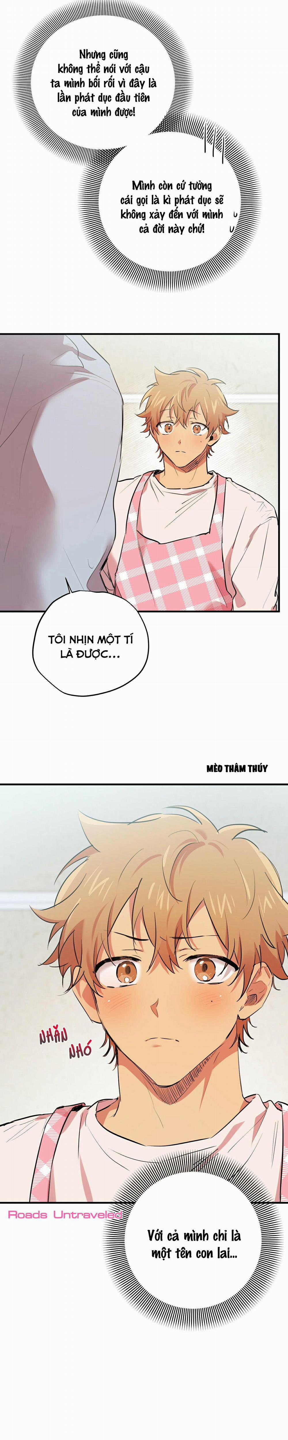 Những Chú Thỏ Của Habibi 17 trang 16