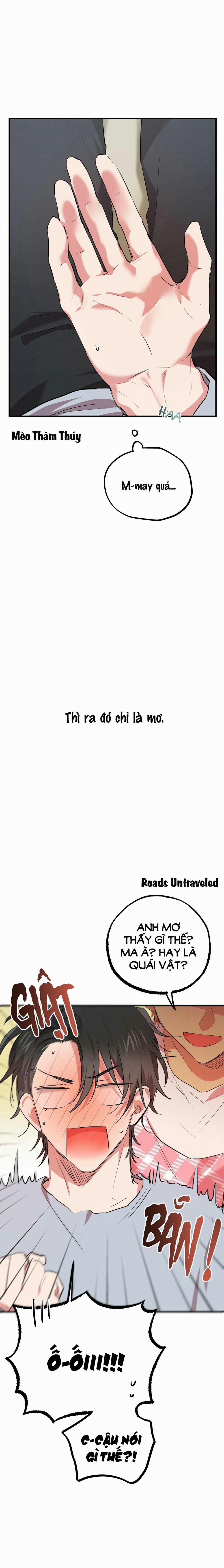 Những Chú Thỏ Của Habibi 17 trang 2