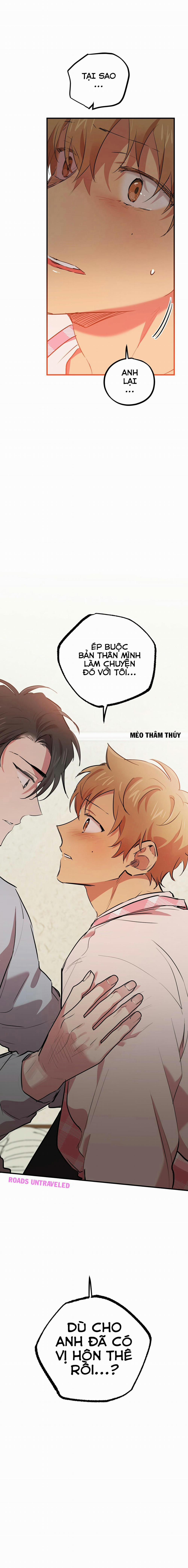 Những Chú Thỏ Của Habibi 17 trang 29