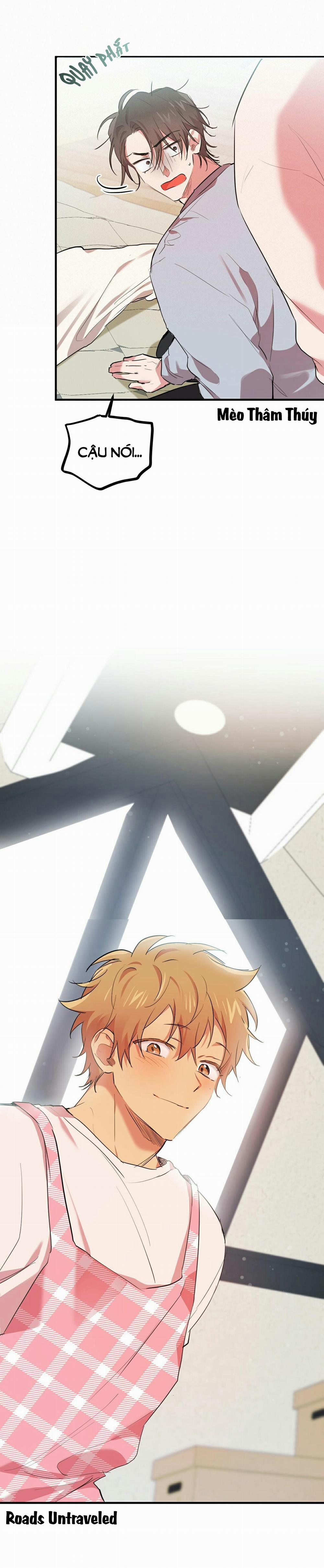 Những Chú Thỏ Của Habibi 17 trang 3