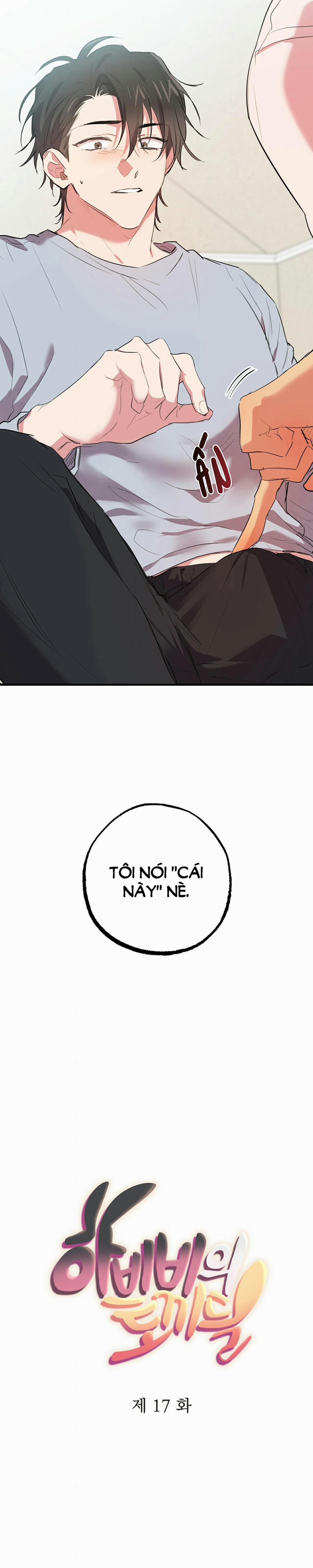 Những Chú Thỏ Của Habibi 17 trang 8