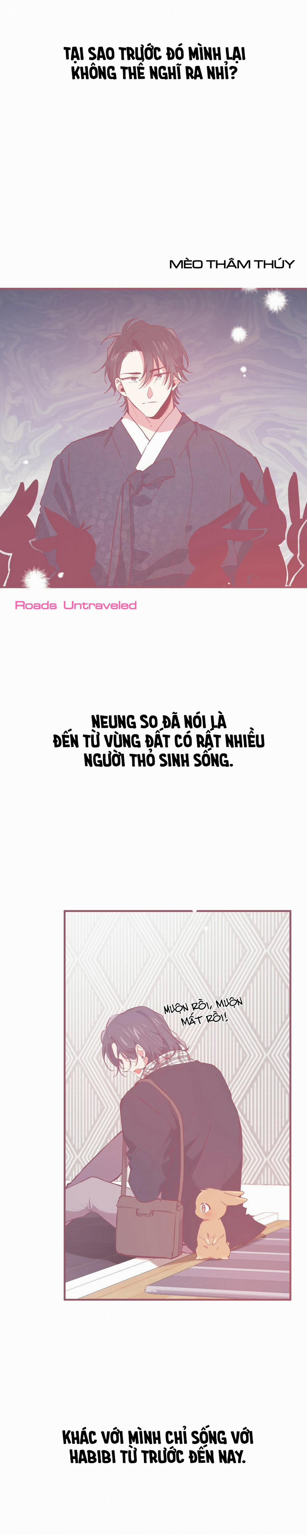 Những Chú Thỏ Của Habibi 18 trang 0