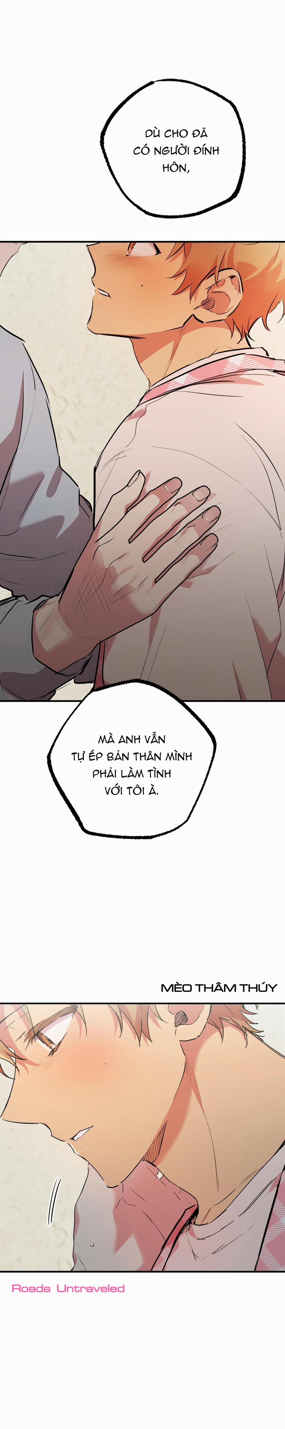 Những Chú Thỏ Của Habibi 18 trang 1