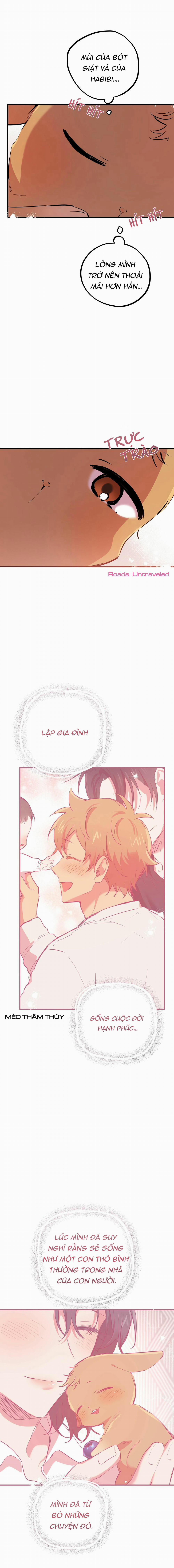 Những Chú Thỏ Của Habibi 18 trang 10