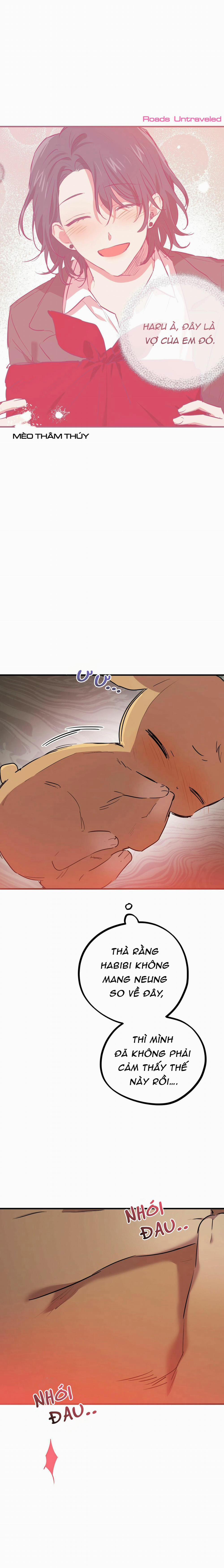 Những Chú Thỏ Của Habibi 18 trang 11