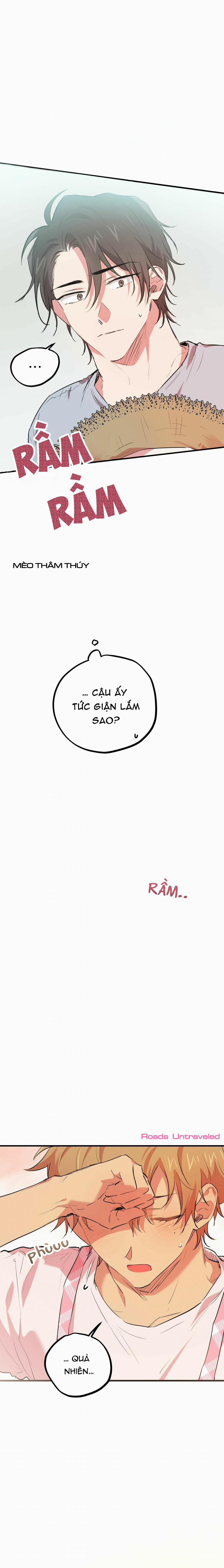 Những Chú Thỏ Của Habibi 18 trang 14