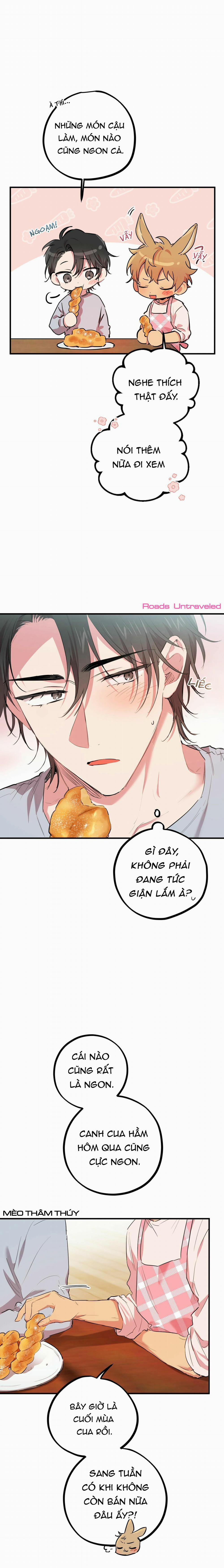 Những Chú Thỏ Của Habibi 18 trang 16